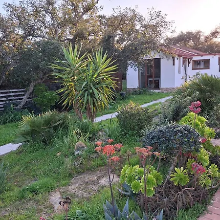 Casa Yuxiao Rincon De Tranquilidad Holiday home Cadiz
